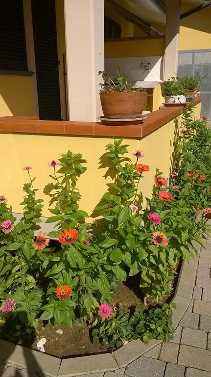 Nonna Alda Bed and Breakfast Viareggio Exterior foto